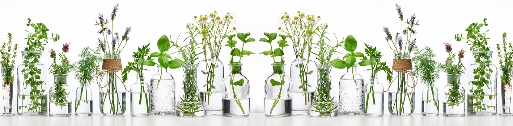 website_grid_1660x410_herbs_d