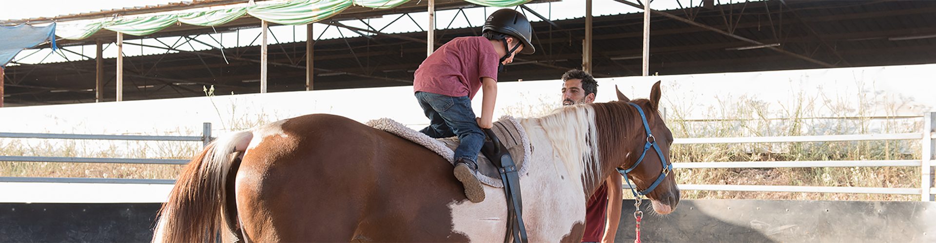 Horses_x628