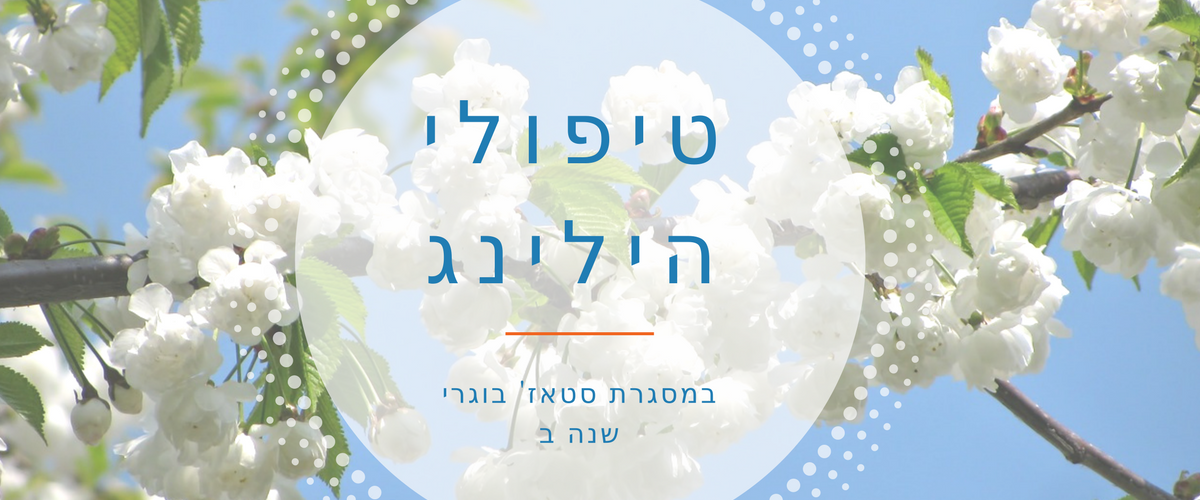 תהליך טיפולי הילינג (1)