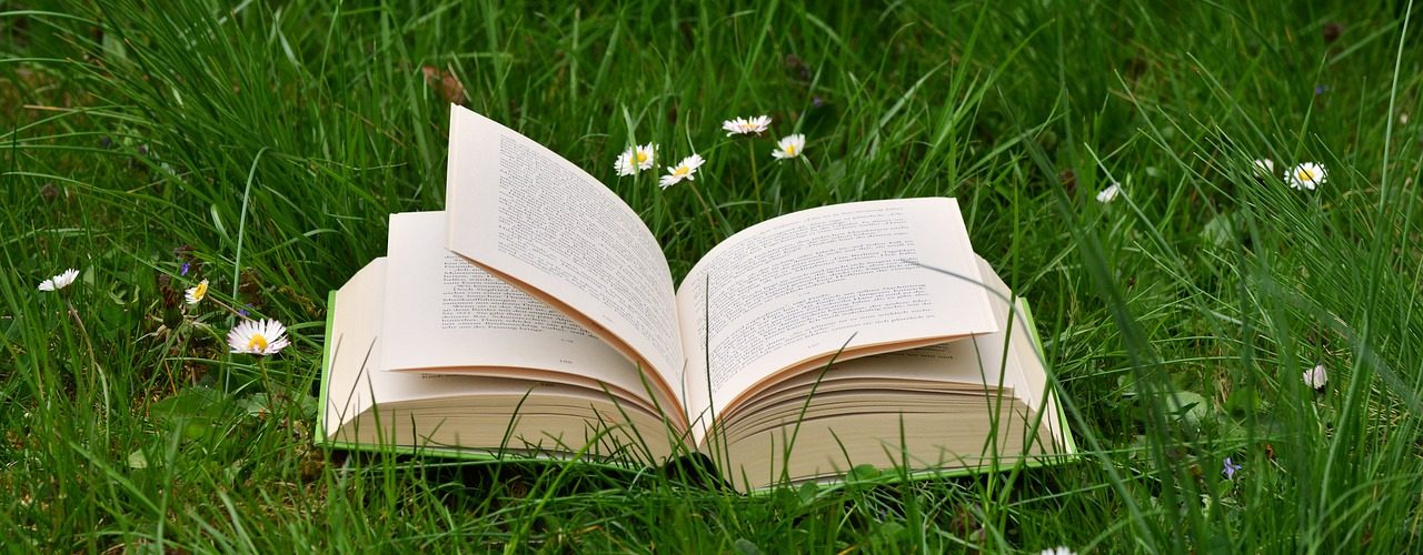 book-2224934_1280
